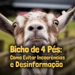 Imagem de um cabrito com a legenda 'Bicho de 4 Pés: Como Evitar Incoerências e Desinformação' - post sobre calçar o bicho de 4 pés no Candomblé, tradição espiritual e conhecimento ancestral.